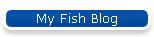 My Fish Blog